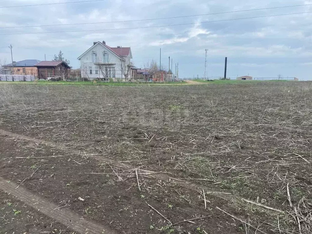 Участок в Ростовская область, Мясниковский район, с. Большие Салы ул. ... - Фото 2