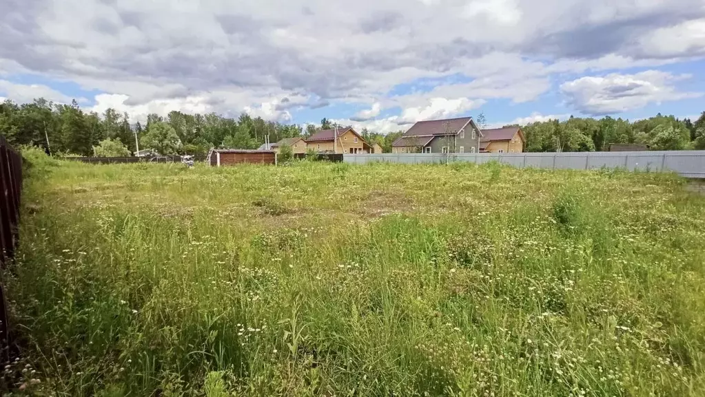 Участок в Московская область, Пушкинский городской округ, д. Могильцы, ... - Фото 0