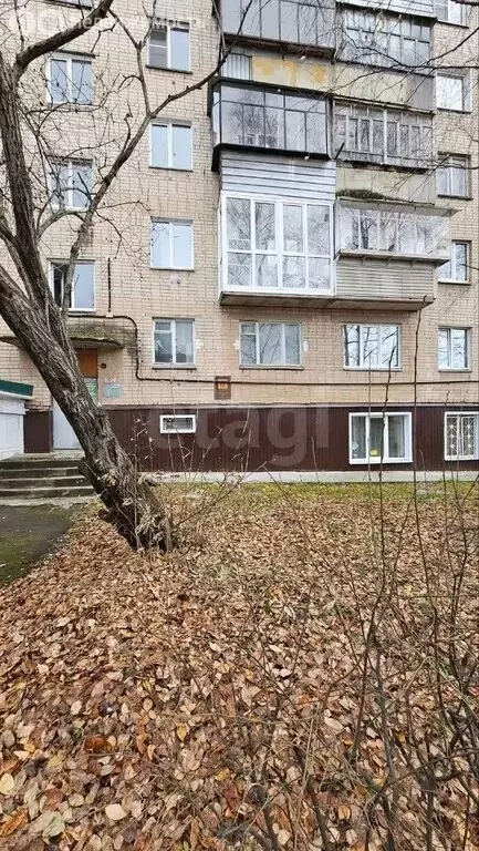 Офис (63.1 м) - Фото 1