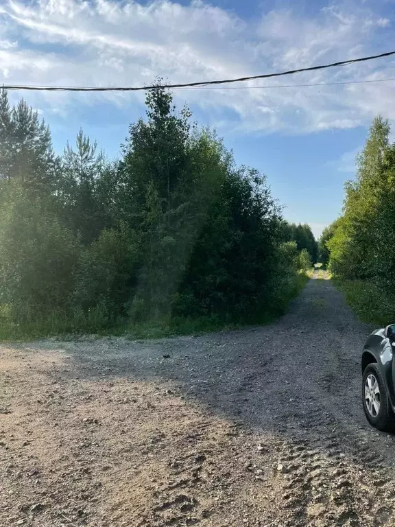 Участок в Ленинградская область, Ломоносовский район, Лопухинское ... - Фото 0