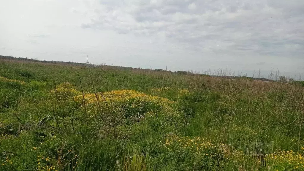 Участок в Московская область, Клин городской округ, д. Тархово  (14.16 ... - Фото 1