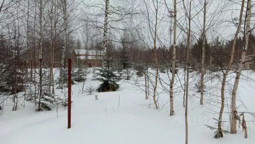 Участок в Московская область, Клин городской округ, д. Давыдково  (6.0 ... - Фото 1