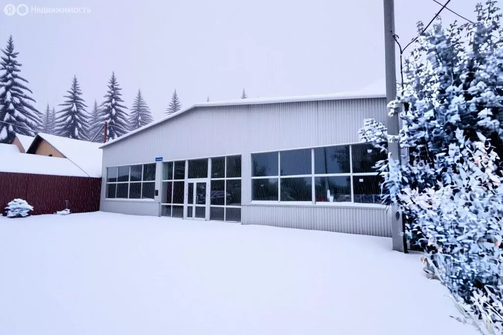 Помещение свободного назначения (540 м) - Фото 2