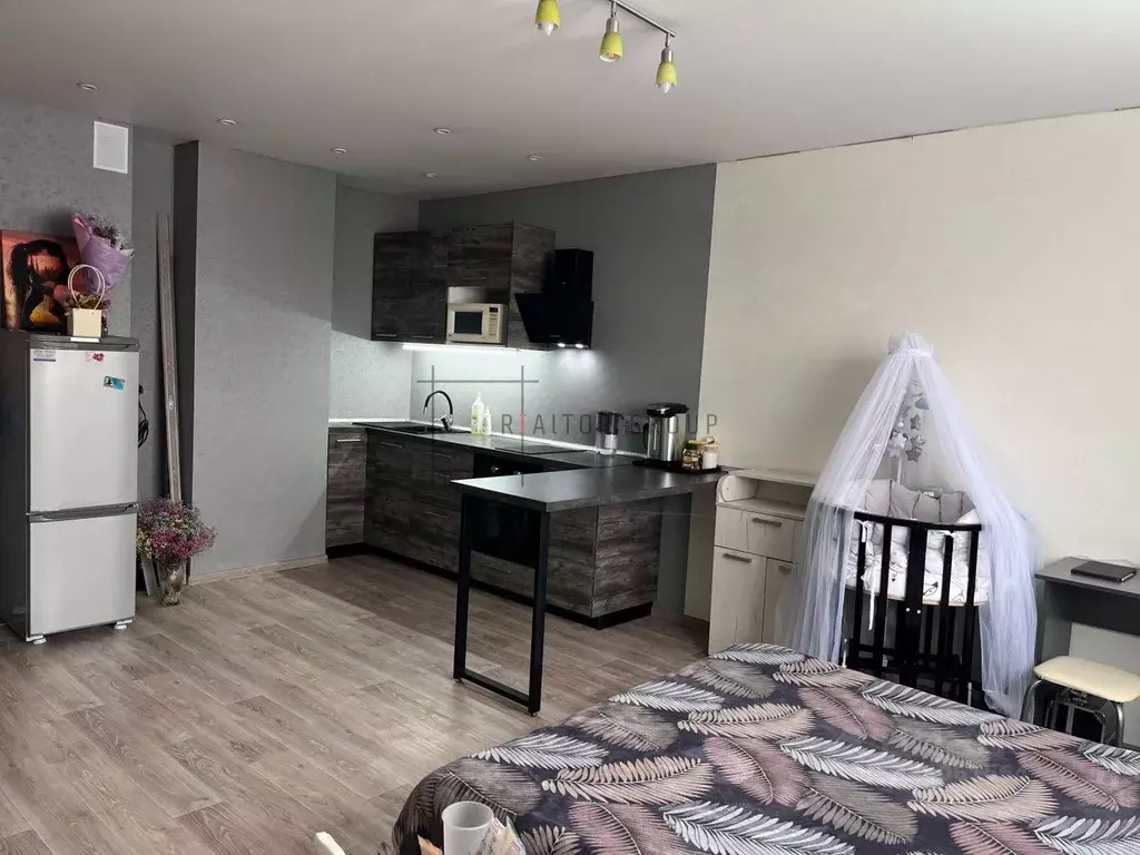 Студия Новосибирская область, Новосибирск ул. Татьяны Снежиной, 41 ... - Фото 2