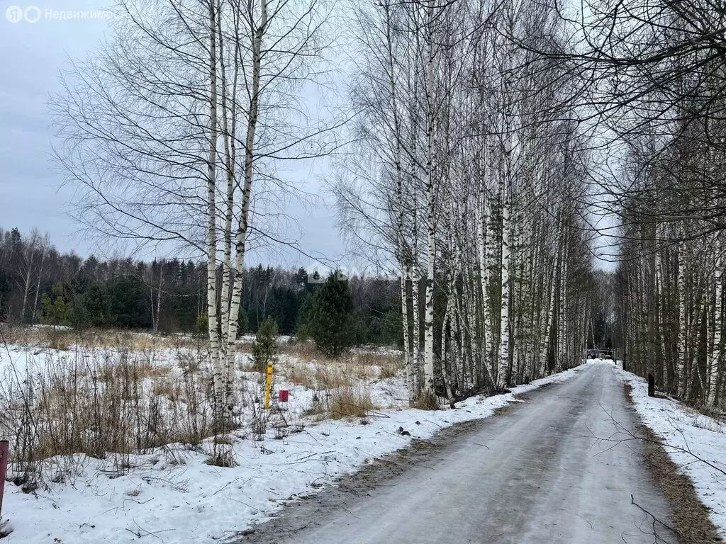 Участок в Судогодский район, муниципальное образование Лавровское, ... - Фото 0