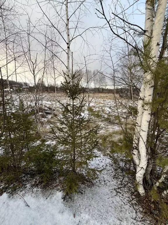 Участок в Свердловская область, Кировградский муниципальный округ, ... - Фото 2