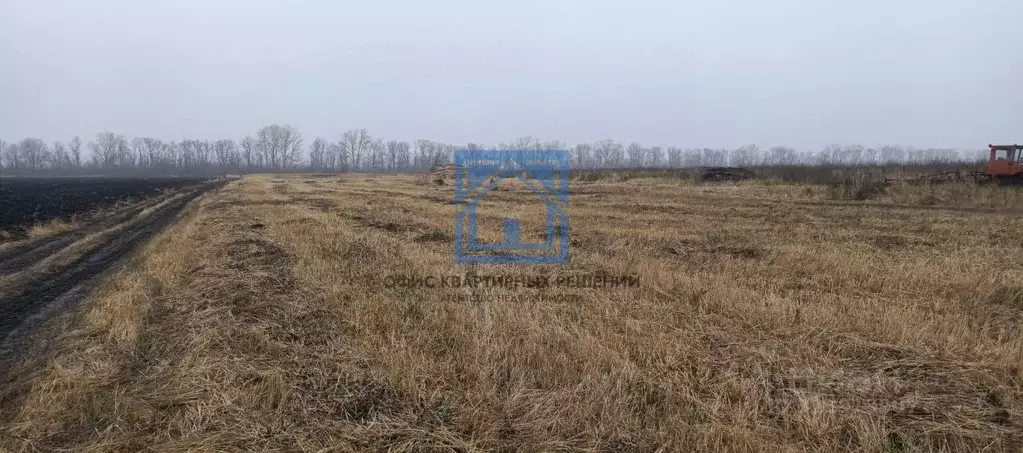 Участок в Пензенская область, с. Бессоновка Изумрудный жилой комплекс ... - Фото 2