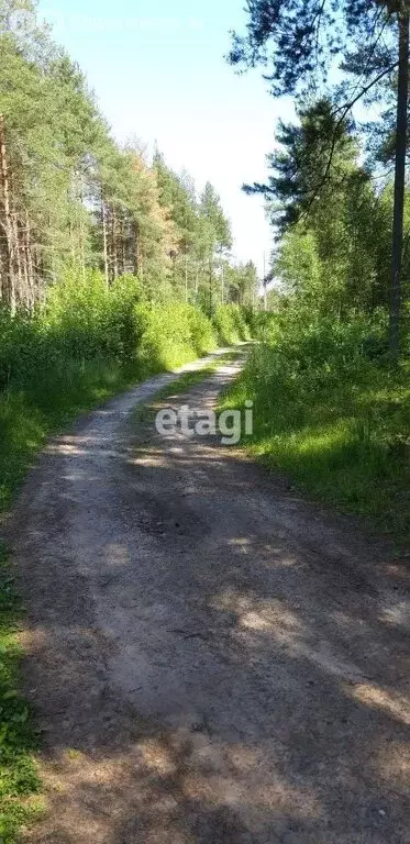 Участок в городской посёлок Мга, Донецкая улица (9.2 м) - Фото 1