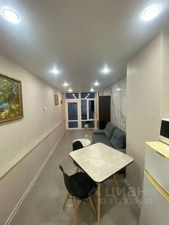Студия Краснодарский край, Сочи ул. Тимирязева, 53Г (25.0 м) - Фото 1