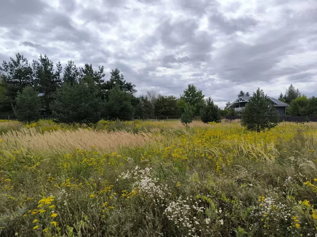 Участок в Московская область, Раменский муниципальный округ, д. ... - Фото 1