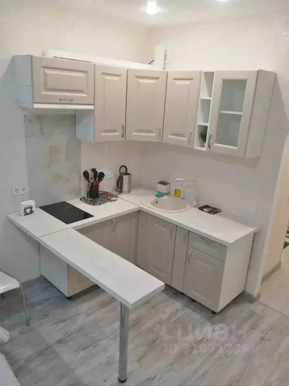 Студия Санкт-Петербург ул. Плесецкая, 10 (25.0 м) - Фото 1