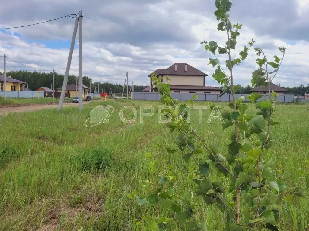 Участок в Тюменская область, Тюменский муниципальный округ, д. ... - Фото 1