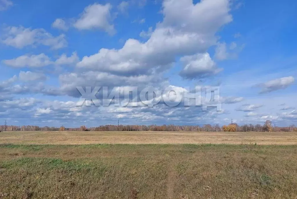 Коттедж в Новосибирская область, Новосибирский район, Толмачевский ... - Фото 1