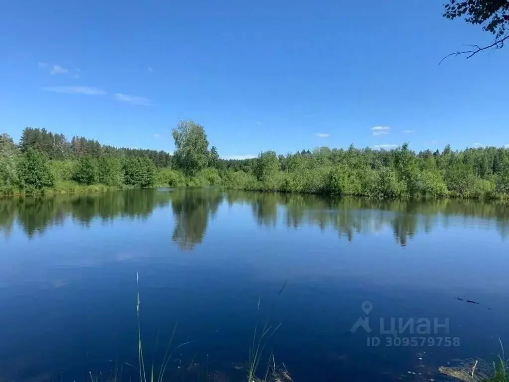 Участок в Татарстан, Зеленодольский район, Айшинское с/пос, Лесной ... - Фото 0