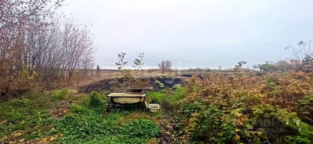 Дом в Белгородская область, Губкинский городской округ, с. Бобровы ... - Фото 0