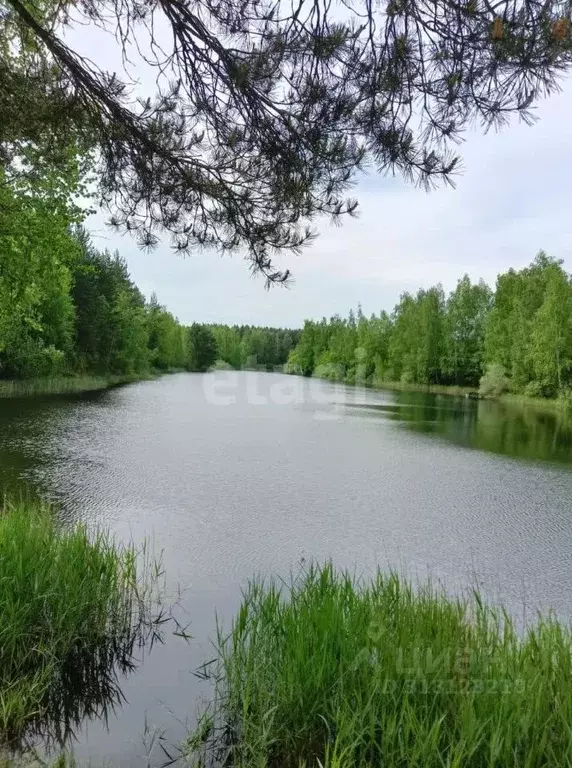 Участок в Московская область, Ступино городской округ, Черемушки СНТ ... - Фото 1