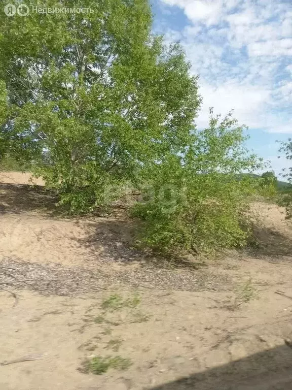 Участок в Комсомольск-на-Амуре, посёлок Чкаловский, Байкальская улица, ... - Фото 0