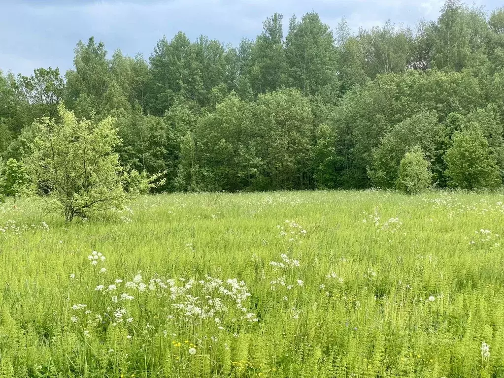 Участок в Владимирская область, Александровский район, д. Шаблыкино  ... - Фото 1