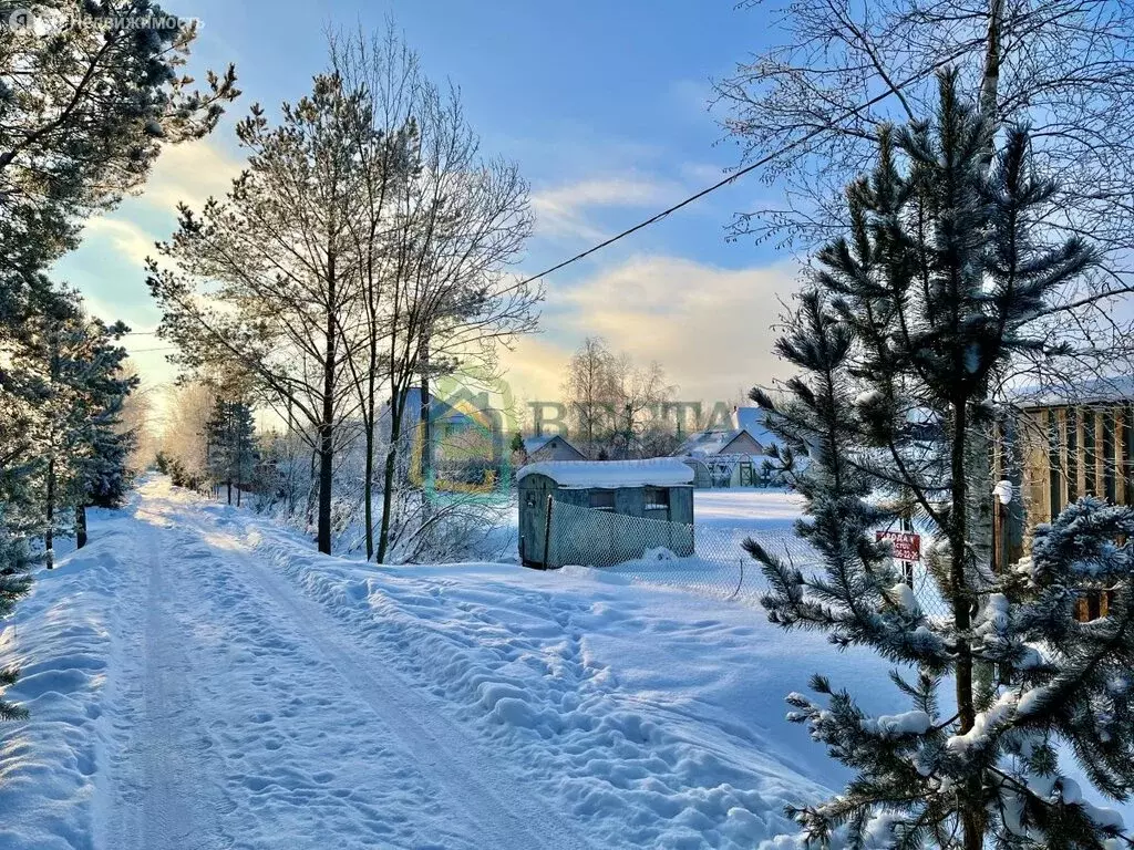 Участок в Павловск (15.98 м) - Фото 1