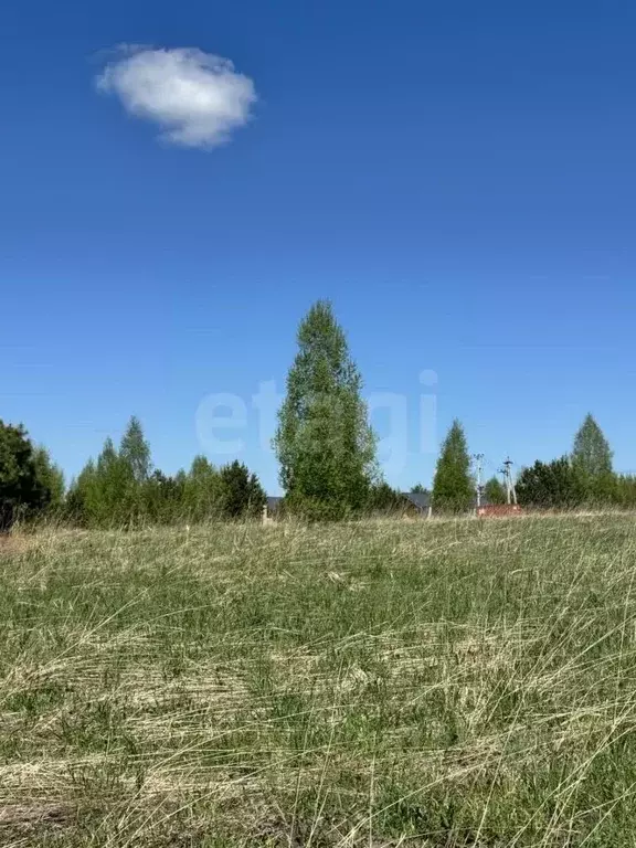 Участок в Кемеровская область, Кемеровский район, д. Солонечная  (8.0 ... - Фото 0