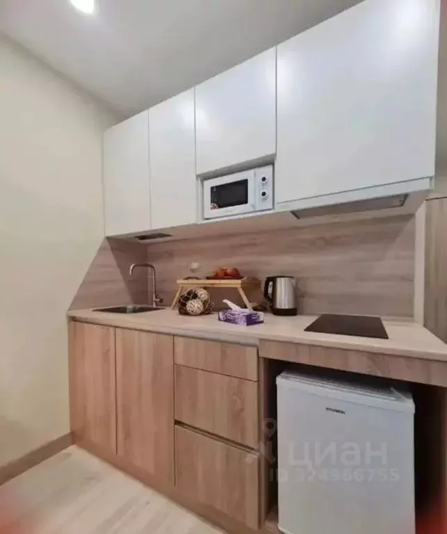 Студия Санкт-Петербург ул. Матроса Железняка, 2 (20.0 м) - Фото 2