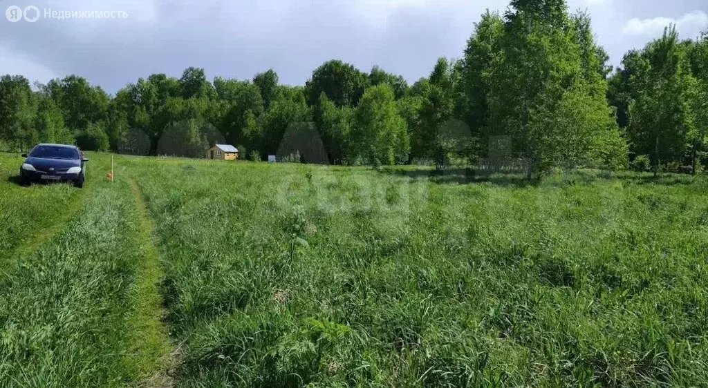 Участок в Каменский сельсовет, ДНТ Каменский Оазис, Садовая улица (8 ... - Фото 1