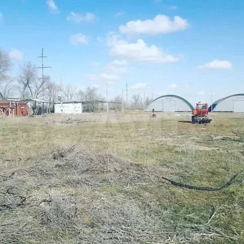 Хутор Грачи Волгоградская область Городищенский. СНТ Грачи 1.