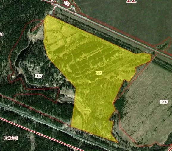 Участок в Алтайский край, Первомайский район, с. Баюновские ключи ... - Фото 2