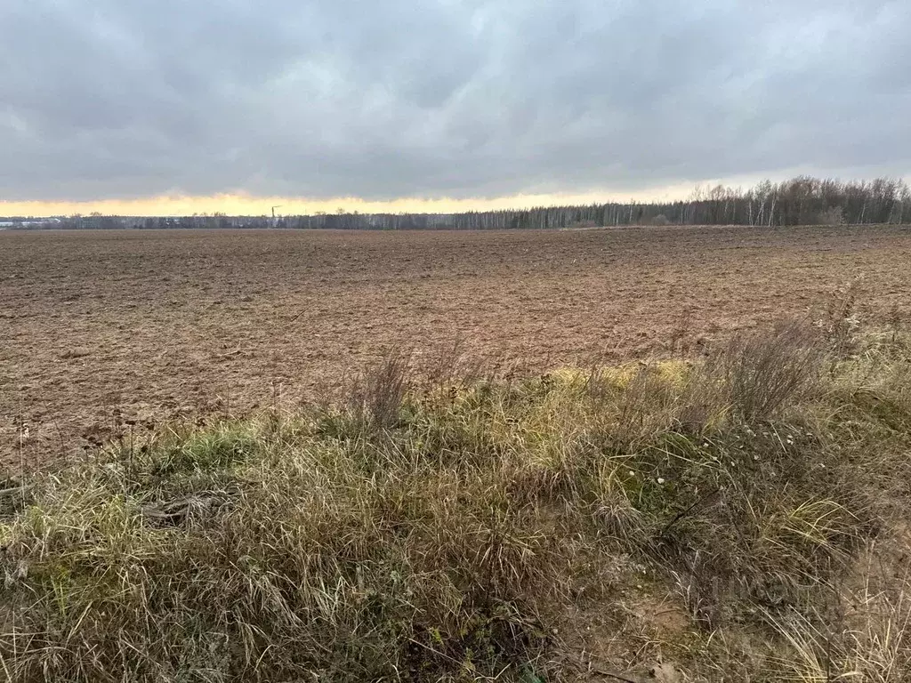 Участок в Московская область, Богородский городской округ, д. ... - Фото 0