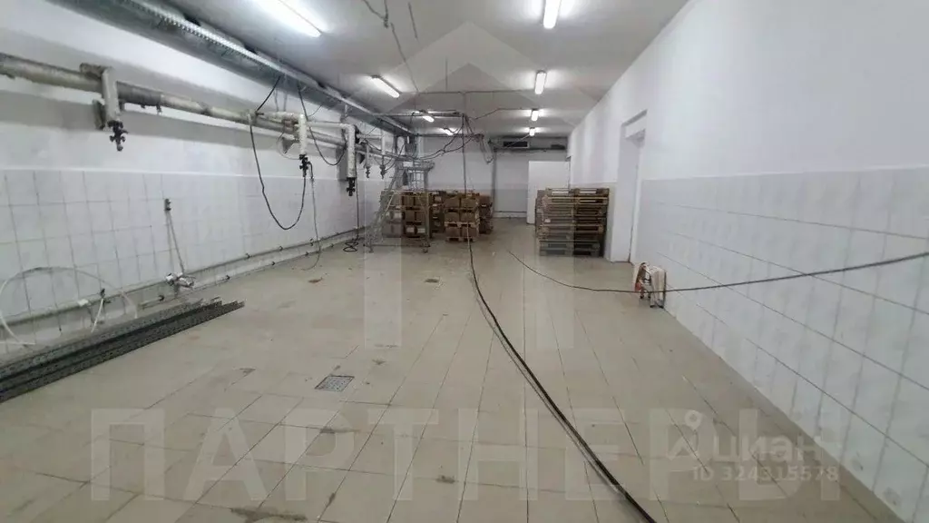 Помещение свободного назначения в Краснодарский край, Краснодар пос. ... - Фото 1