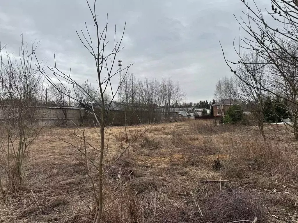 Участок в Московская область, Богородский городской округ, д. Молзино  ... - Фото 0