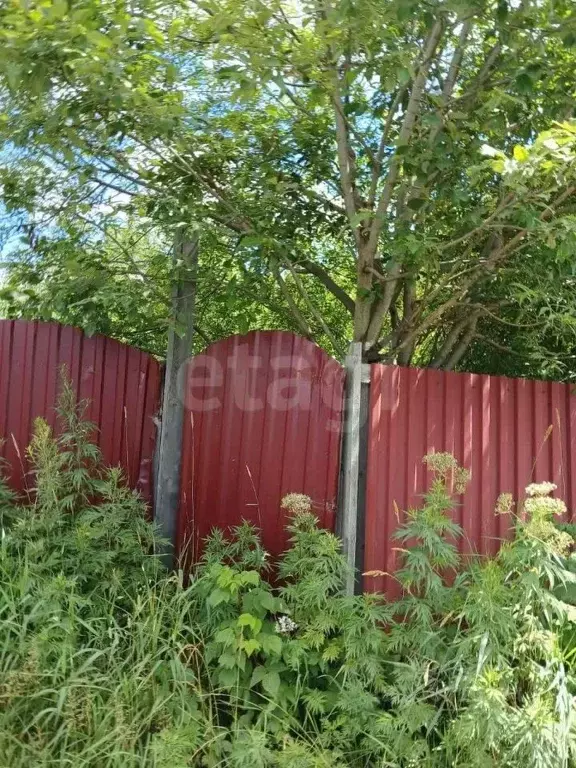 Участок в Сахалинская область, Южно-Сахалинск Колхида СНТ, ул. ... - Фото 1