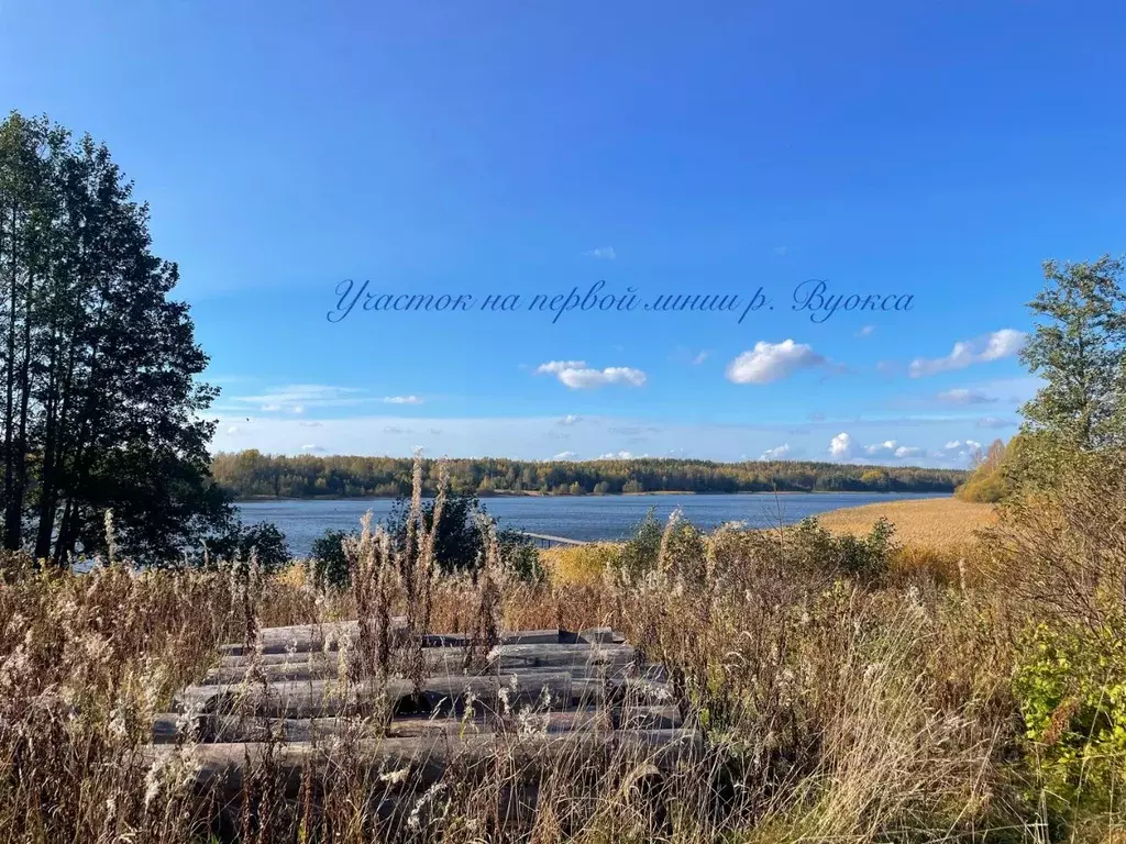 Участок в Ленинградская область, Приозерский район, Ромашкинское ... - Фото 1