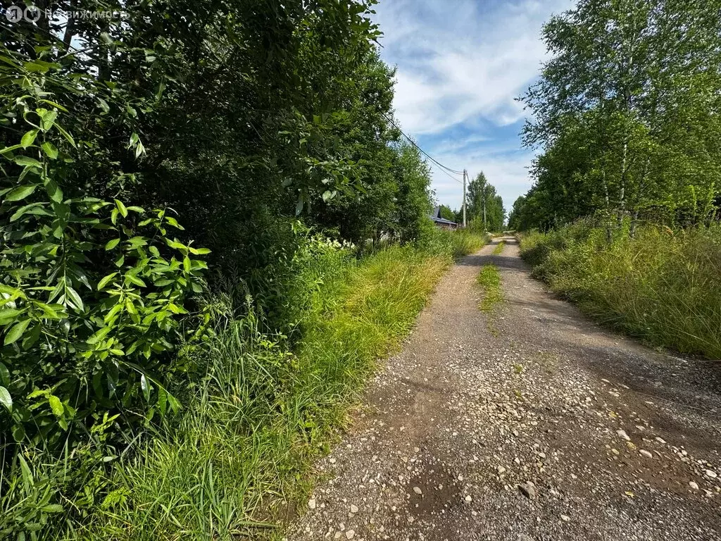 Участок в Московская область, городской округ Солнечногорск, ... - Фото 2