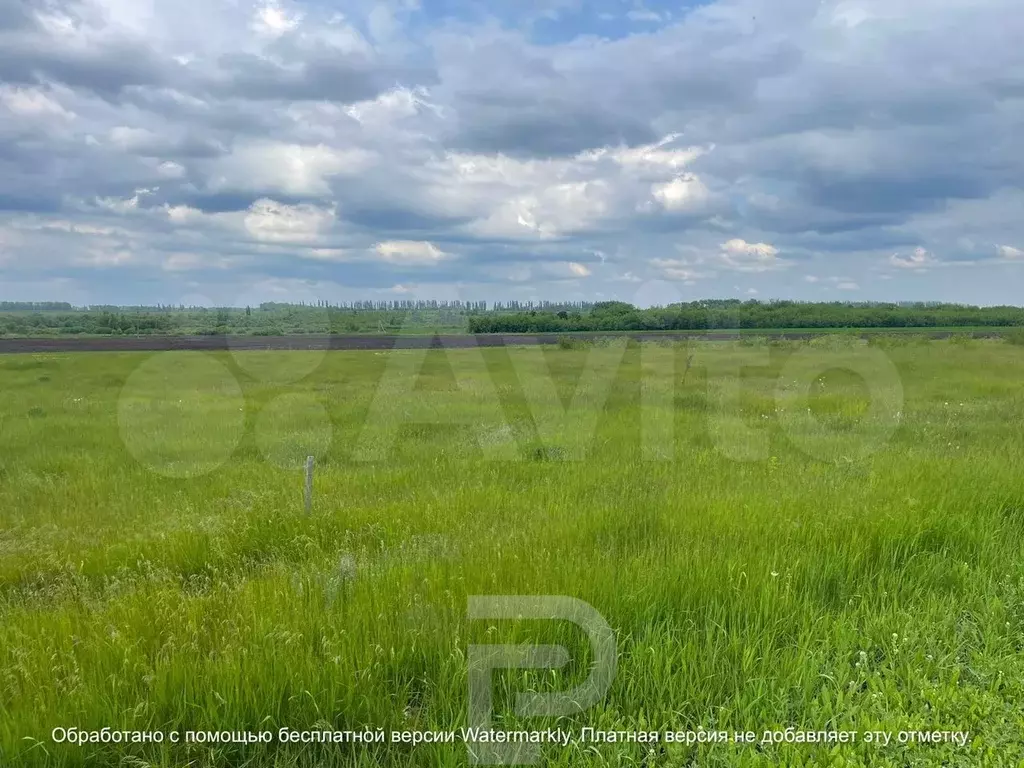 Купить Дом Рогачевка Новоусманский Район