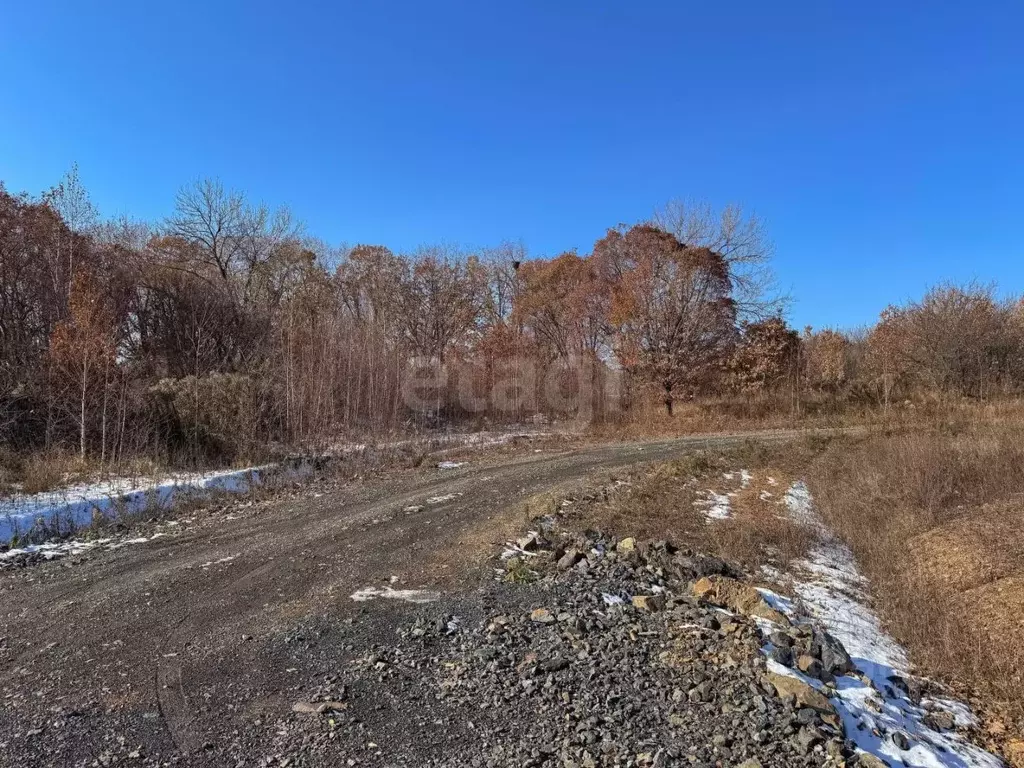 Участок в Хабаровский край, Хабаровский район, Мичуринское с/пос, с. ... - Фото 1