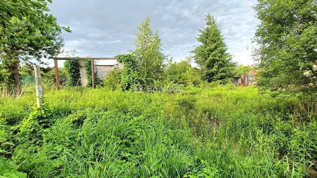 Участок в Брянская область, Брянск Автодорожник садовое общество, 2 ... - Фото 1