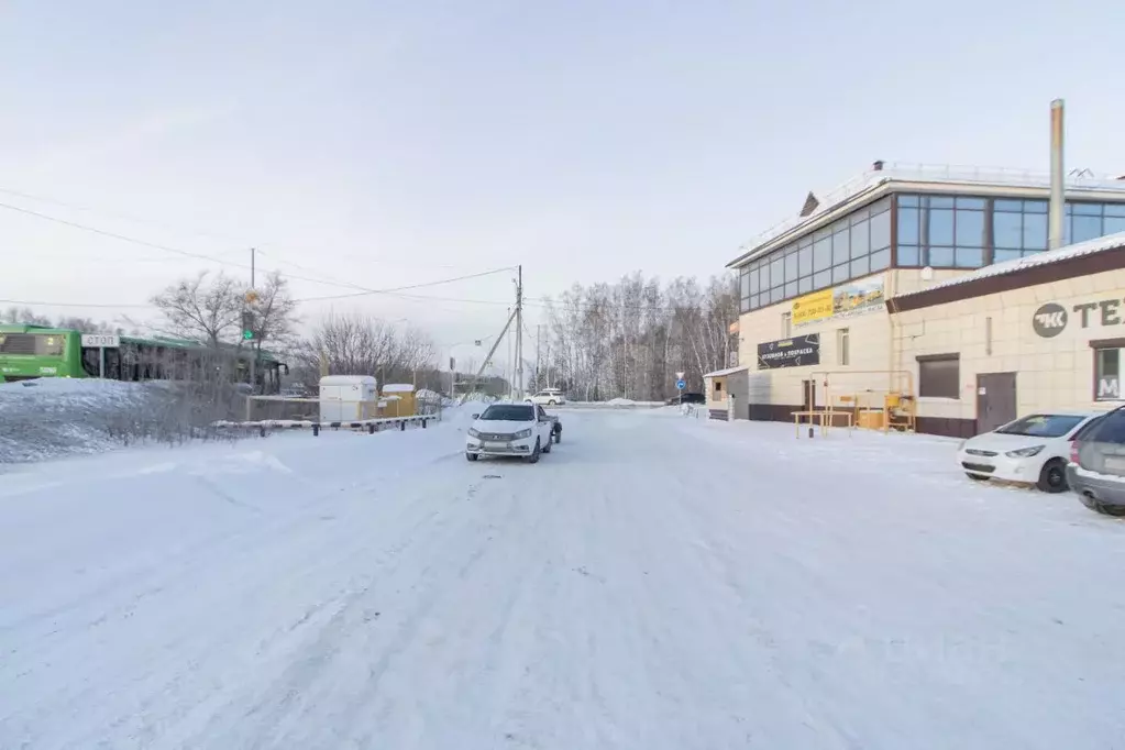 Помещение свободного назначения в Тюменская область, Тюмень ... - Фото 1