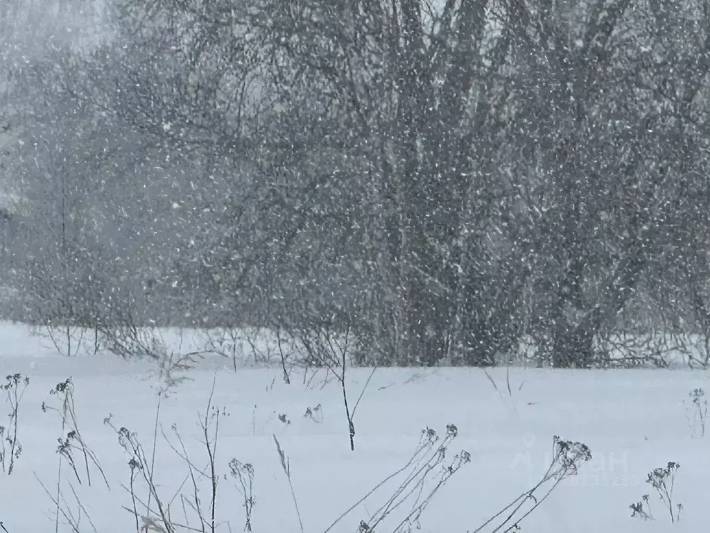 Участок в Московская область, Рузский муниципальный округ, д. Грибцово ... - Фото 1