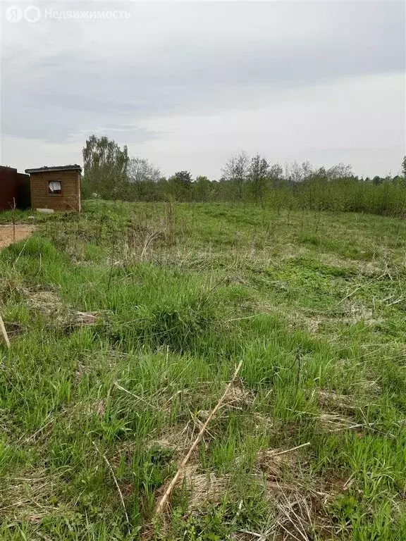 Участок в деревня Куйвози, улица Александрова, 59 (12 м) - Фото 1