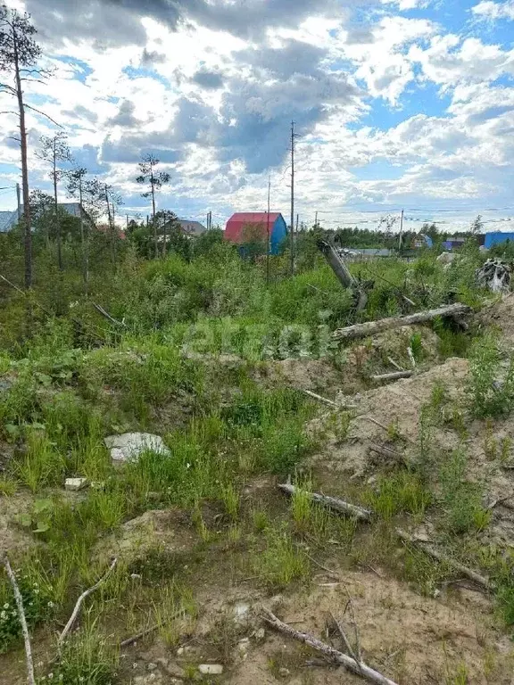 Участок в Ханты-Мансийский АО, Сургутского муниципального района тер., ... - Фото 0