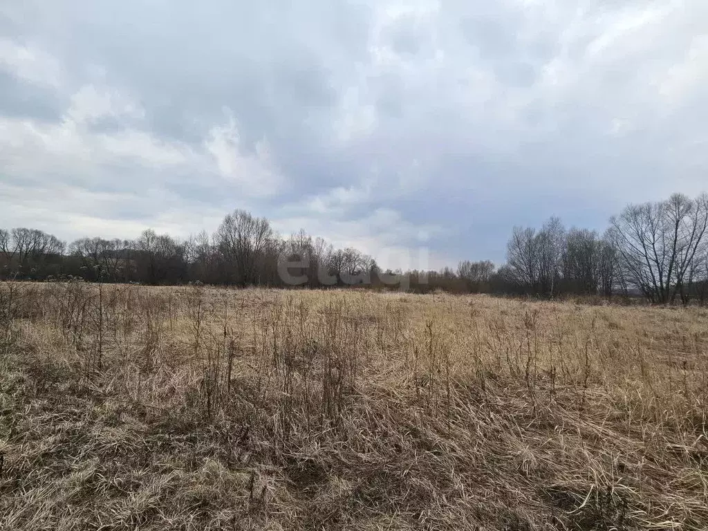 Участок в Московская область, Коломна городской округ, с. Фроловское  ... - Фото 0