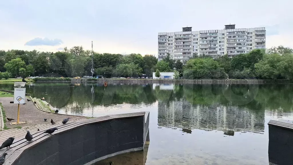 2-к. квартира, 54,3 м, 5/12 эт. - Фото 1