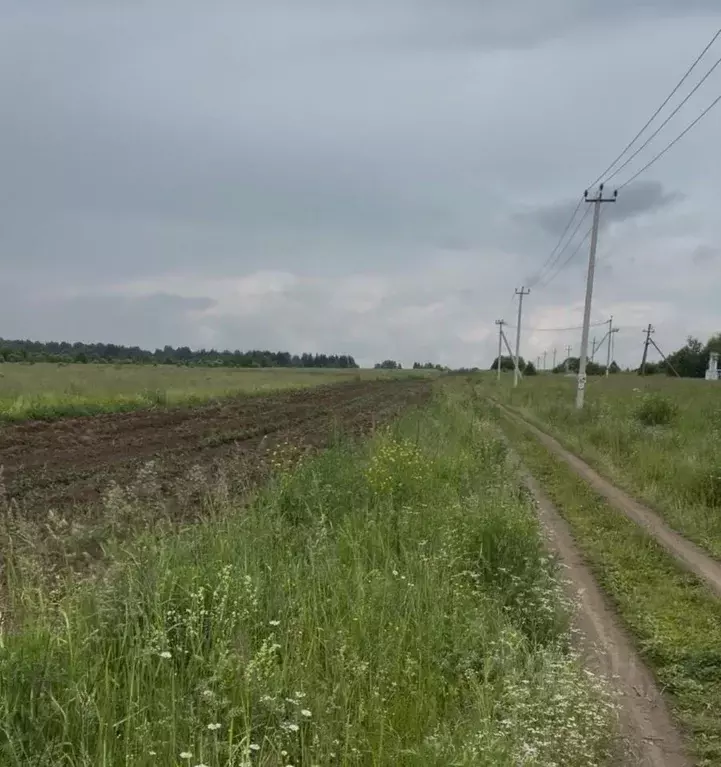Участок в Свердловская область, Староуткинск муниципальный округ, д. ... - Фото 0