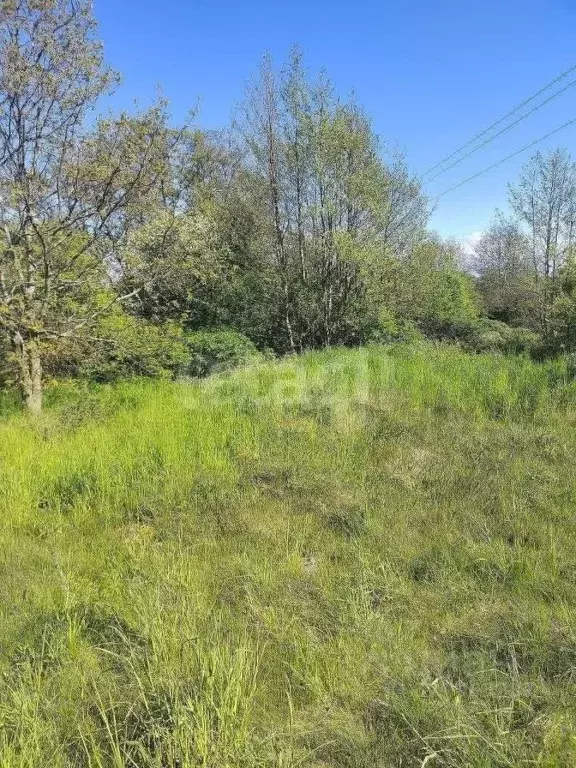 Участок в Калининградская область, Гурьевский муниципальный округ, ... - Фото 1