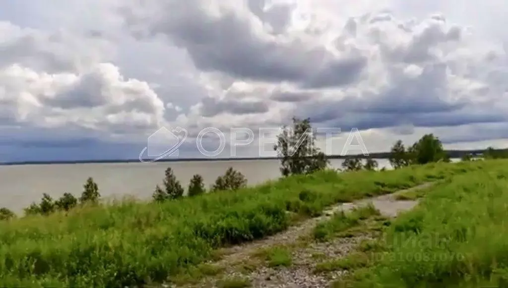 Участок в Тюменская область, Ялуторовский район, с. Сингуль Татарский ... - Фото 2