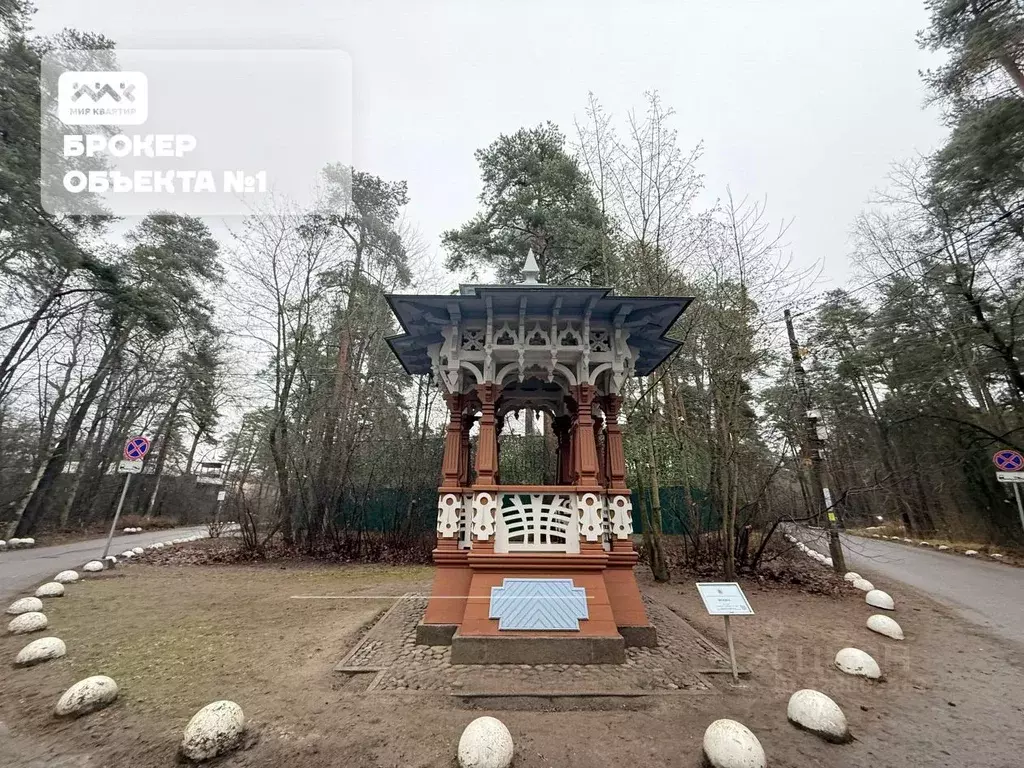 Участок в Санкт-Петербург, Санкт-Петербург, Сестрорецк Купальный пер. ... - Фото 2