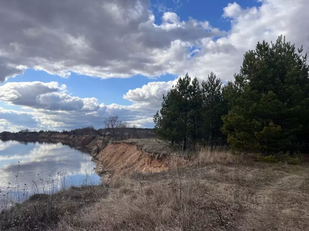 Участок в Рязанская область, Шиловский район, Борковское с/пос, с. ... - Фото 2