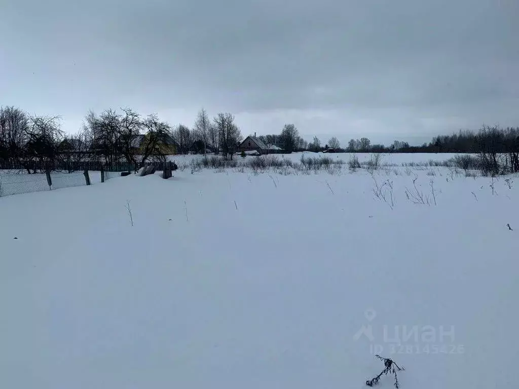 Участок в Вологодская область, д. Горка-Покровская (Березниковский ... - Фото 1