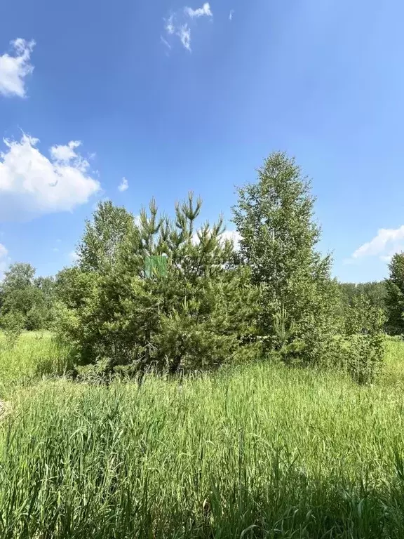 Участок в Курганская область, Кетовский муниципальный округ, д. ... - Фото 2